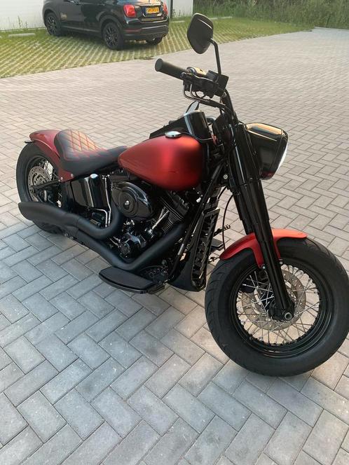 Harley Davidson Softail custom Special Paint