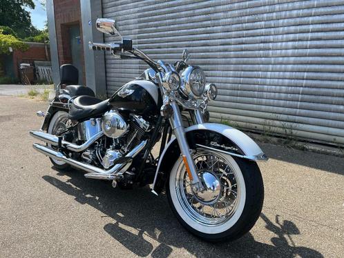 Harley Davidson Softail DeLuxe FLSTN TC88 mit 47000km