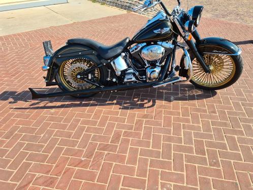 Harley davidson  softail deluxe ( mexican chicano)