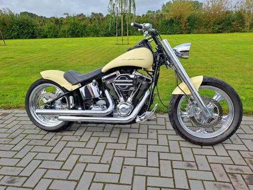 Harley Davidson Softail fxst SampS 113 evolution