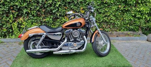 Harley Davidson Sportster 1200 Anniversary Edition (Getuned)