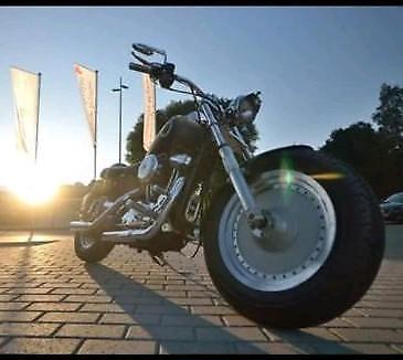 Harley davidson sportster 1200 custom