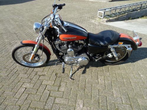 Harley Davidson Sportster 1200 Custom