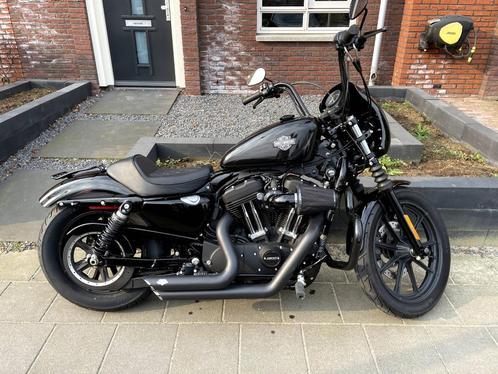 Harley Davidson Sportster 1200 NS Iron Custom