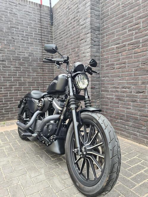 Harley Davidson sportster 883 iron Xl black denim