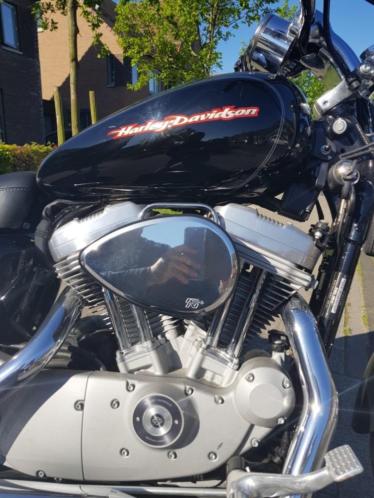 Harley Davidson Sportster 883C WEINIG KM039S
