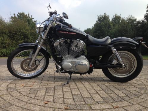 Harley Davidson Sportster custom