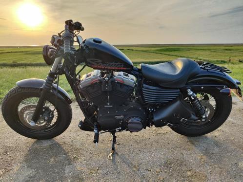 Harley-Davidson Sportster Forty Eight stage 1 upgrade