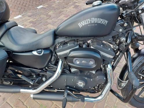 Harley-Davidson Sportster Iron 883 (33kW, A2)