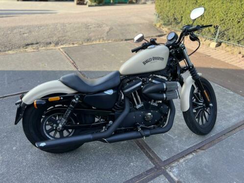 Harley Davidson Sportster Iron 883 uit 2014