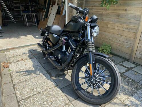 Harley Davidson sportster iron xl 883n