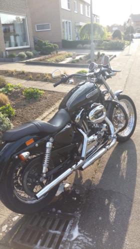 Harley Davidson Sportster XL 1200 Low