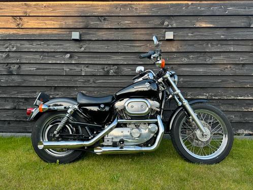 Harley Davidson Sportster XL 883