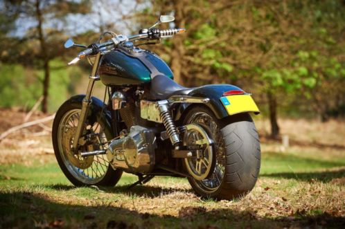 Harley-Davidson Super Glide Custom Build