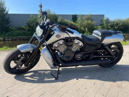 Harley Davidson  V-Rod Muscle