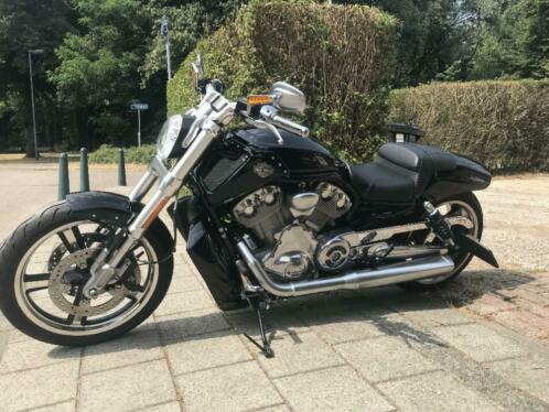 Harley-davidson V Rod muscle