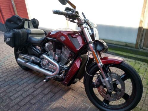 Harley - Davidson V-ROD MUSCLE VRSCF