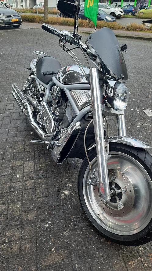 Harley Davidson V-rod Vrsca NL motor.