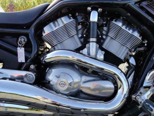 Harley Davidson V-rod Windscherm  INCL 21 BTW NIEUWSTAAT