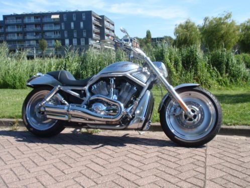 Harley Davidson V-rot first edition