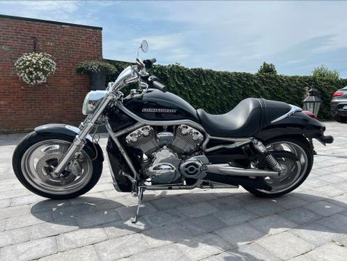 Harley-Davidson vrscaw 240 achterwiel v rod