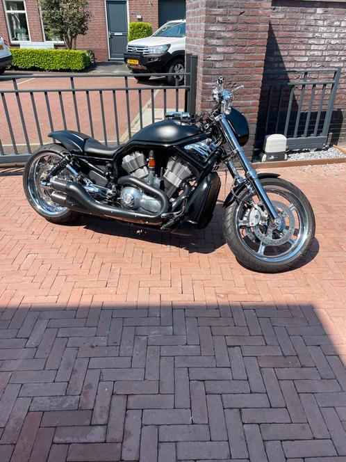 Harley Davidson vrscdx