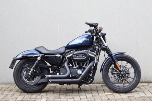 Harley Davidson XL 883 iron Metallic (2013) sportster 1200