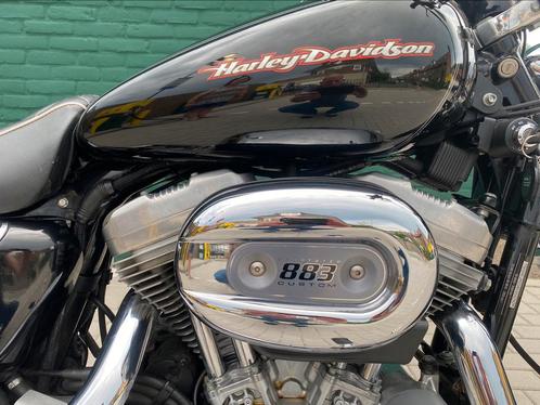 Harley Davidson XL 883 Sportster Custom (2004)