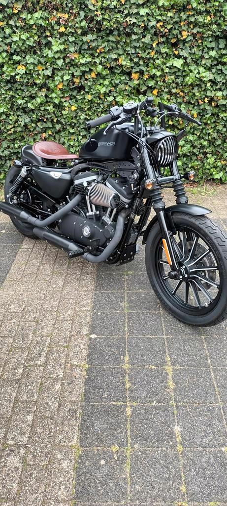Harley Davidson XL 883N iron
