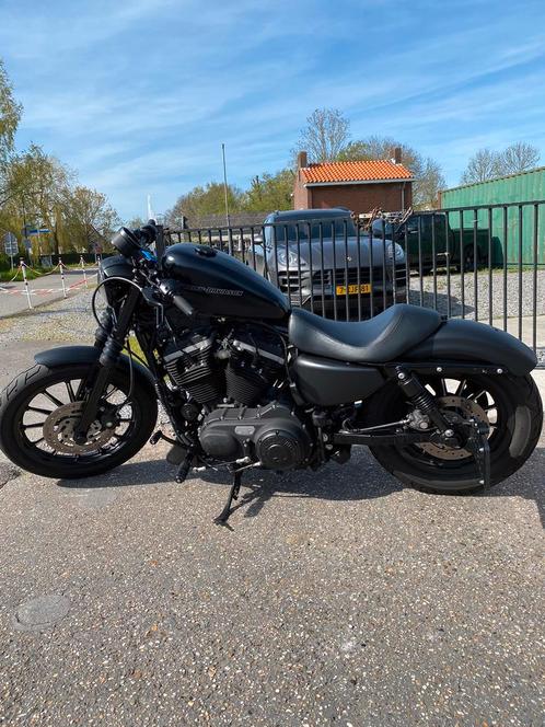Harley-Davidson XL Iron 883 Denim Black