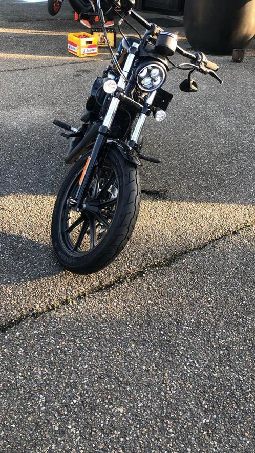 Harley Davidson XL1200 Iron 2019