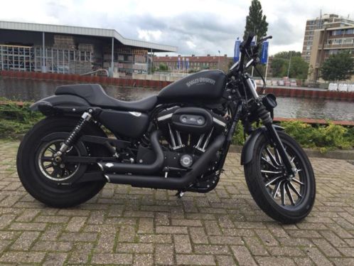 Harley-davidson xl883n iron 2015 sportster 