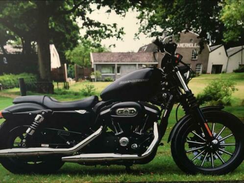 Harley Davidson XL883N IRON