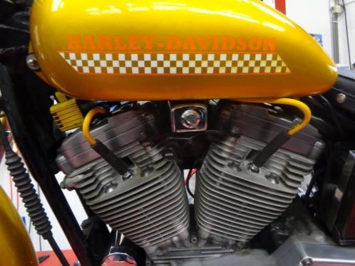 Harley davidson XLH 883 sportster (custom) 