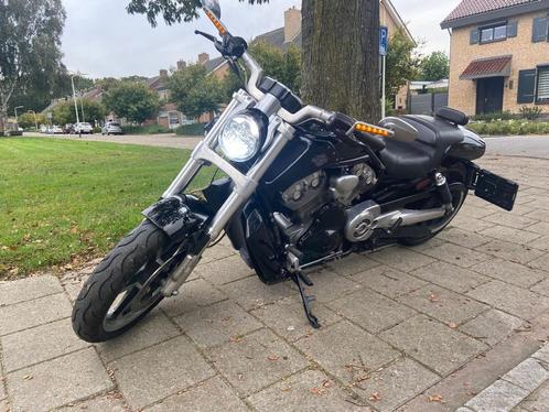 Harley muscle 1250 vrscf 2010 inruil mogelijk