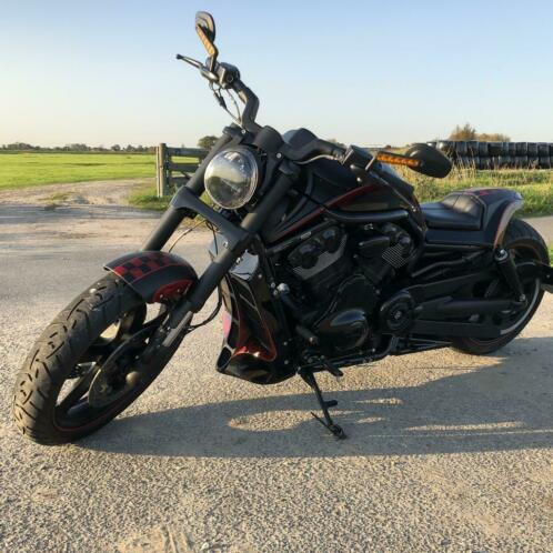 Harley muscle custom