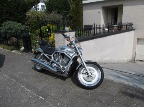 Harley v rod 2003 - Anniversary Model