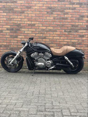 Harley v-rod custom