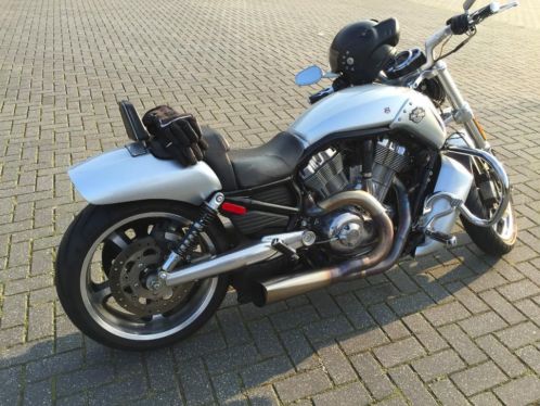 Harley V-rod Muscle (born in the USA)
