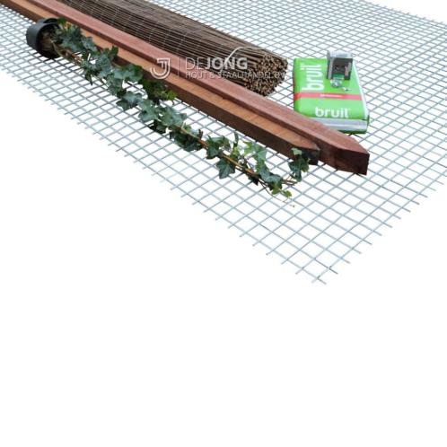 Hedera klimop schutting  betongaas  palen - LEVERING NL