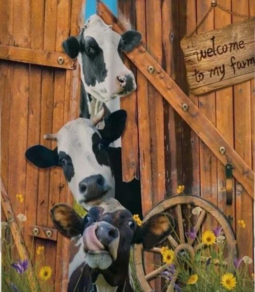 Hilarische koeien tuinposter