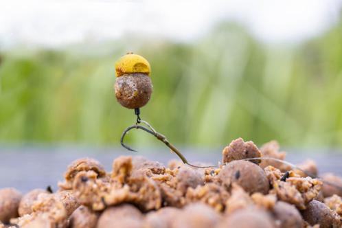 Hoge kwaliteit SQUID BOILIES  Vol attractie  KWO Specials