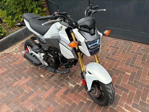 Honda 125 MSX  Parelmoer  (NIEUWSTAAT)