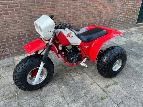 Honda ATC 200X 1983 Trike Restauratie project  Barnfind