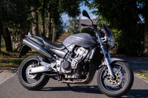 Honda CB900F Hornet - betrouwbare alleskunner