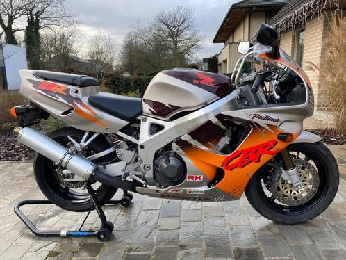 HONDA CBR900RR - sc28 Urban Tiger