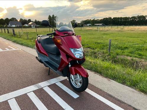 Honda FES250 Foresight Heerlijke 2 persoons motorscooter