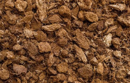 Hoogwaardige Baltische Turf Te Koop