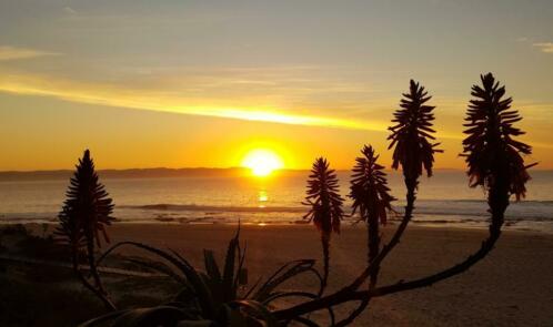 House-keepersitting ....... SouthAfrica