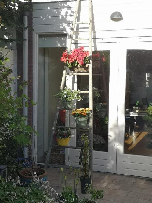 houten ladder - fruitladder